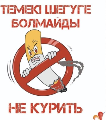 Наклейка Pavlin Не курить! 30x20 см