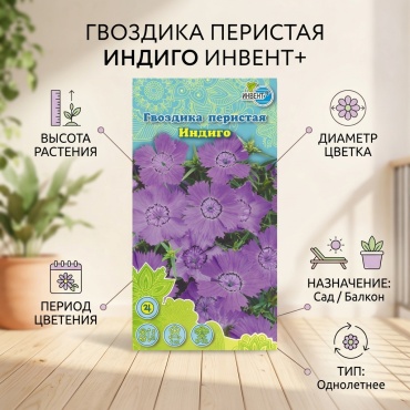 ИНВЕНТ+ гвоздика Перистая индиго