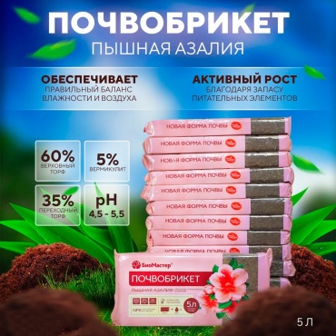 Грунт БиоМастер Пышная Азалия 5 л