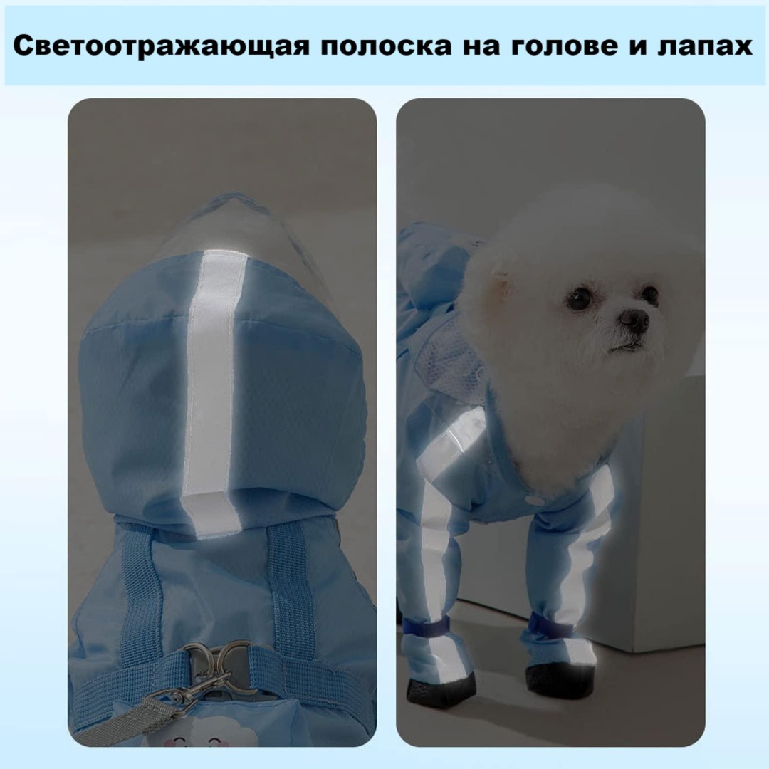 Дождевик LC3-GLJYY-S синий S