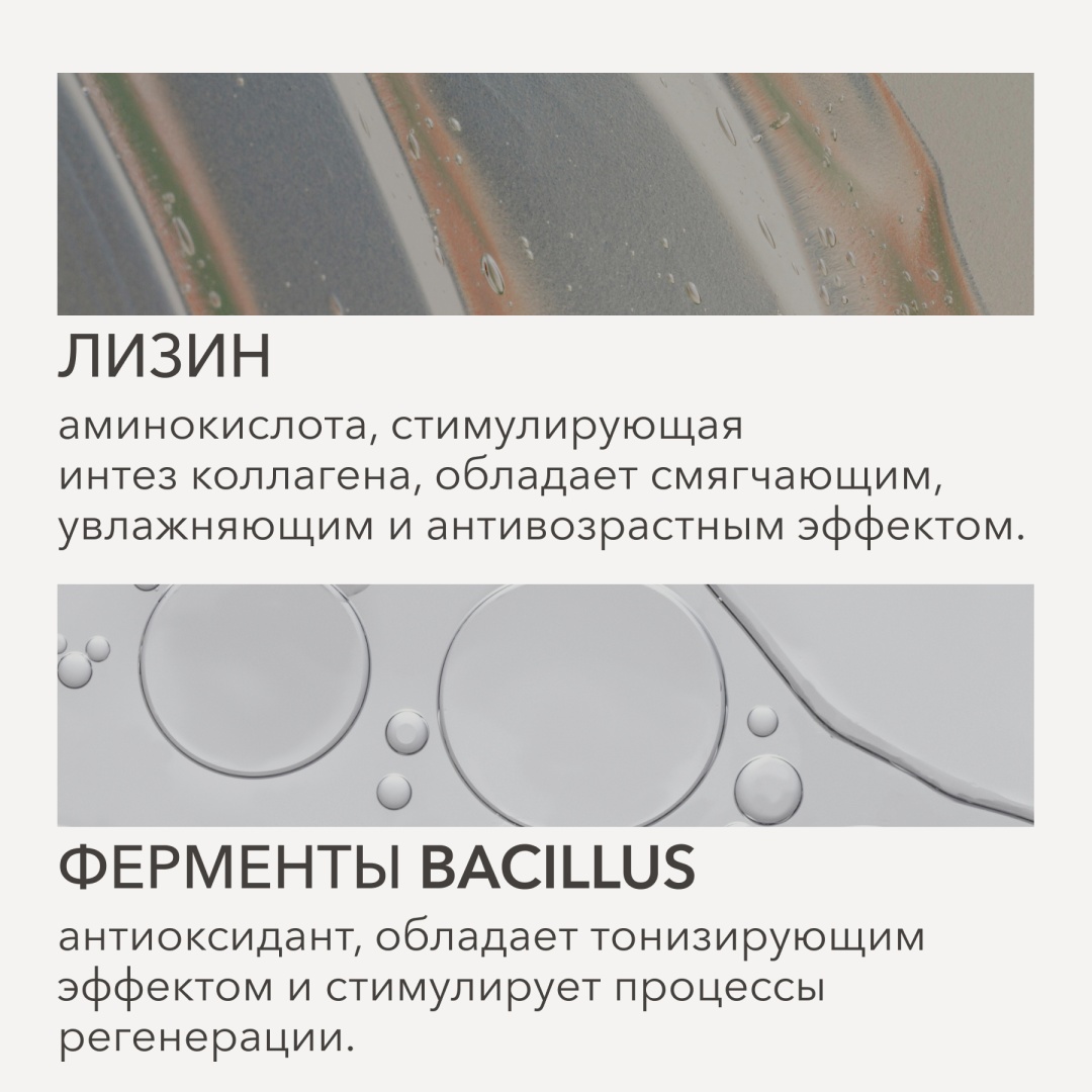 Shik Perfect консилер 1,5