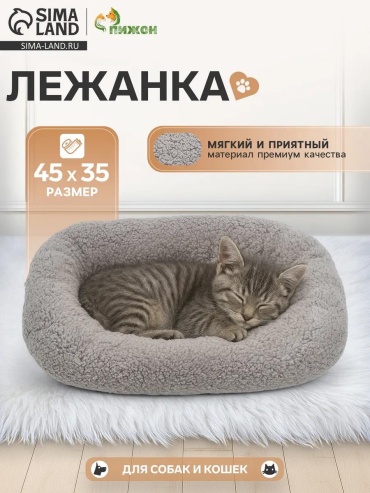 Лежак 558930275 10x10 см