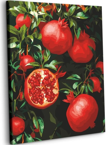 Картина Art on Canvas Гранаты холст на подрамнике 50x40 см