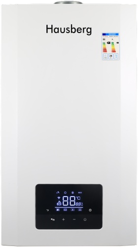 Газовый котел Hausberg HM-28HOB с дымоходом
