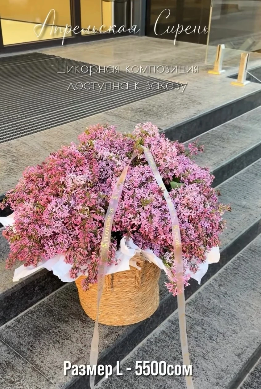 Апрельская сирень