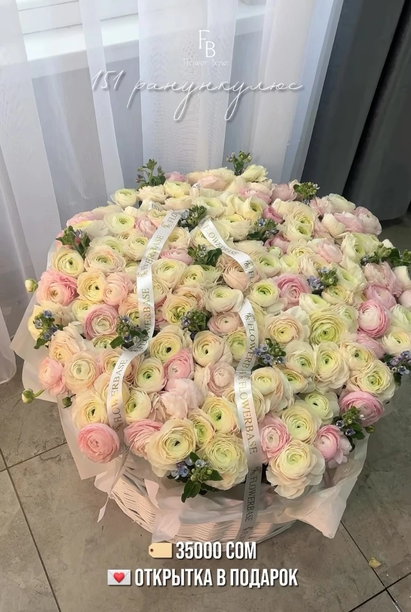 Шикарная корзина из 151 ранункулюса