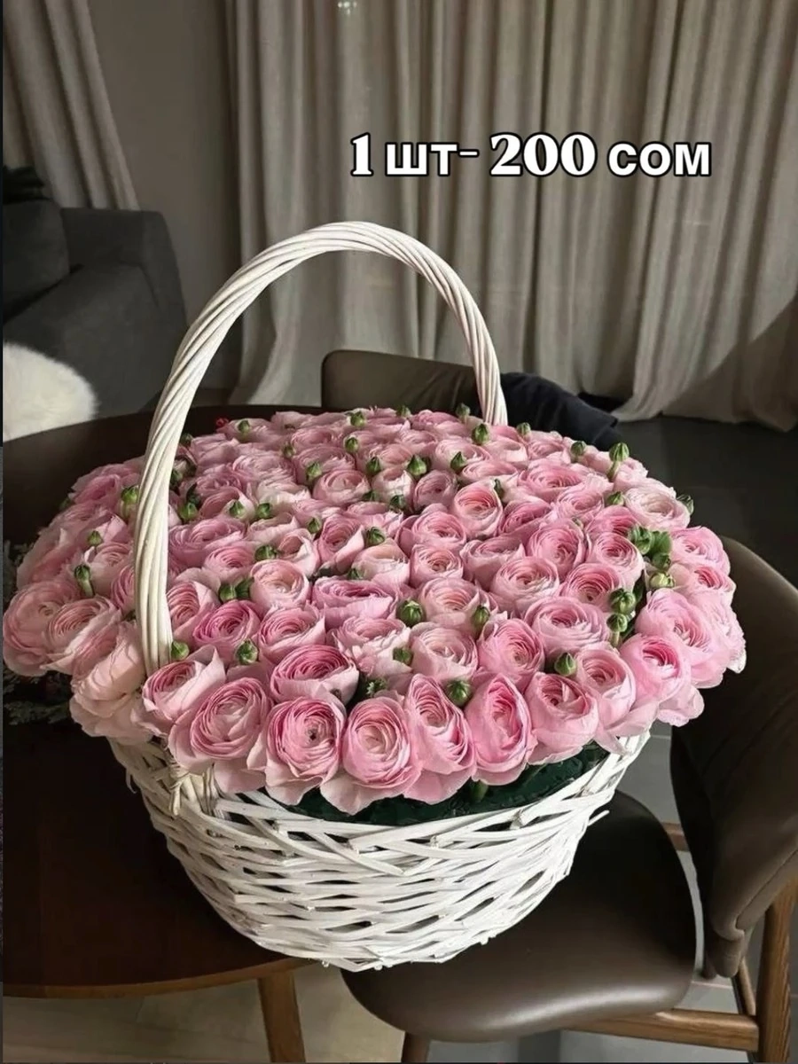Нежно-розовый ранункулюс