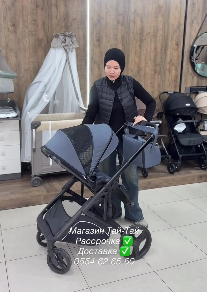 Детская коляска Carrello Alfa