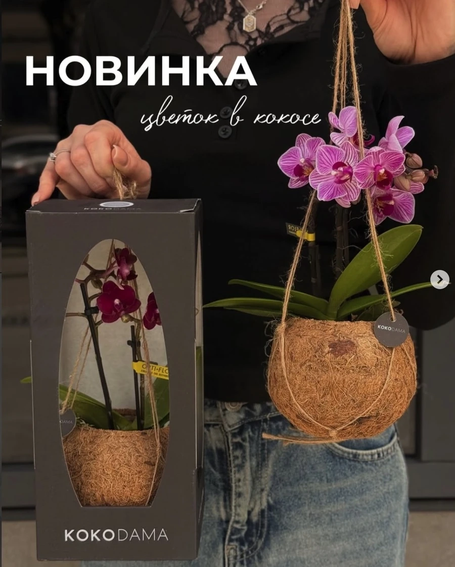 Цветок в кокосе