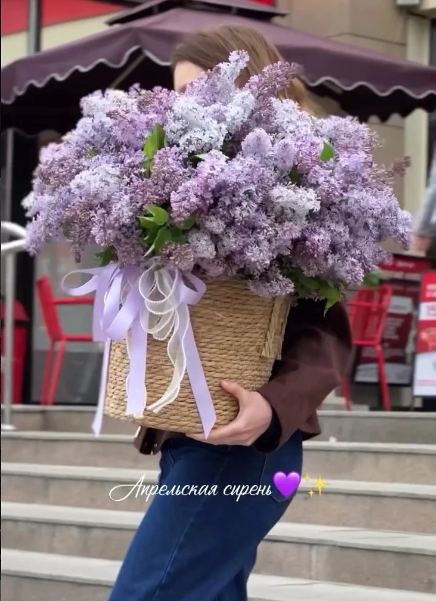 Душистая сирень (ветка)