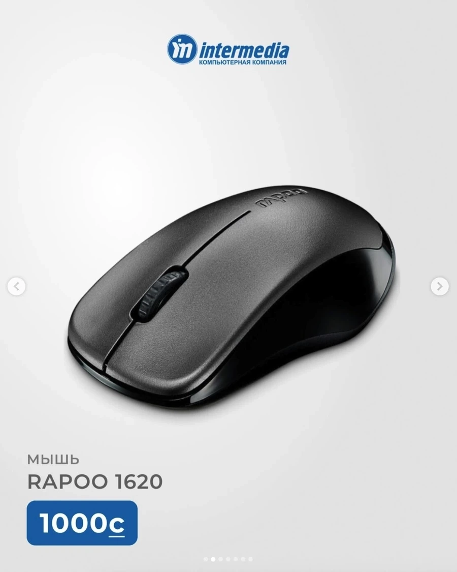 Беспроводная мышь RAPOO 1620