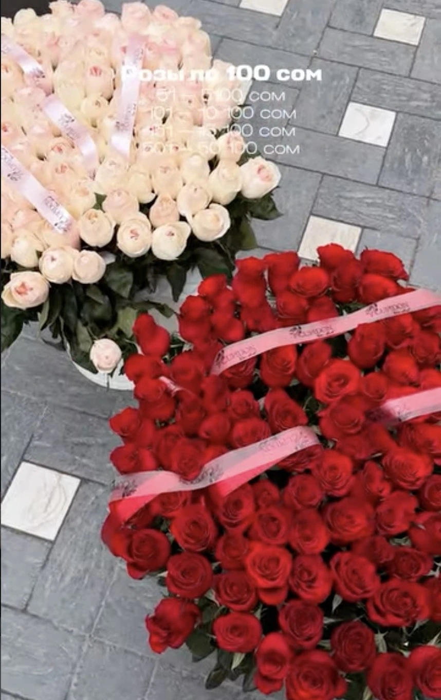 РОЗЫ ПО 100 СОМ 🌹