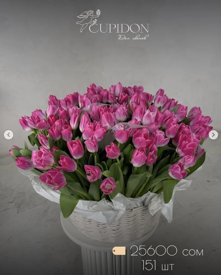 Эмоциональный и эффектный  малиновый тюльпан в корзине 🌷✨