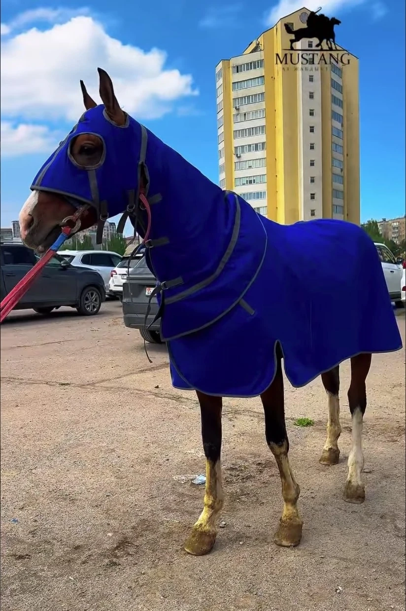 Жаркыраган ат жабуу