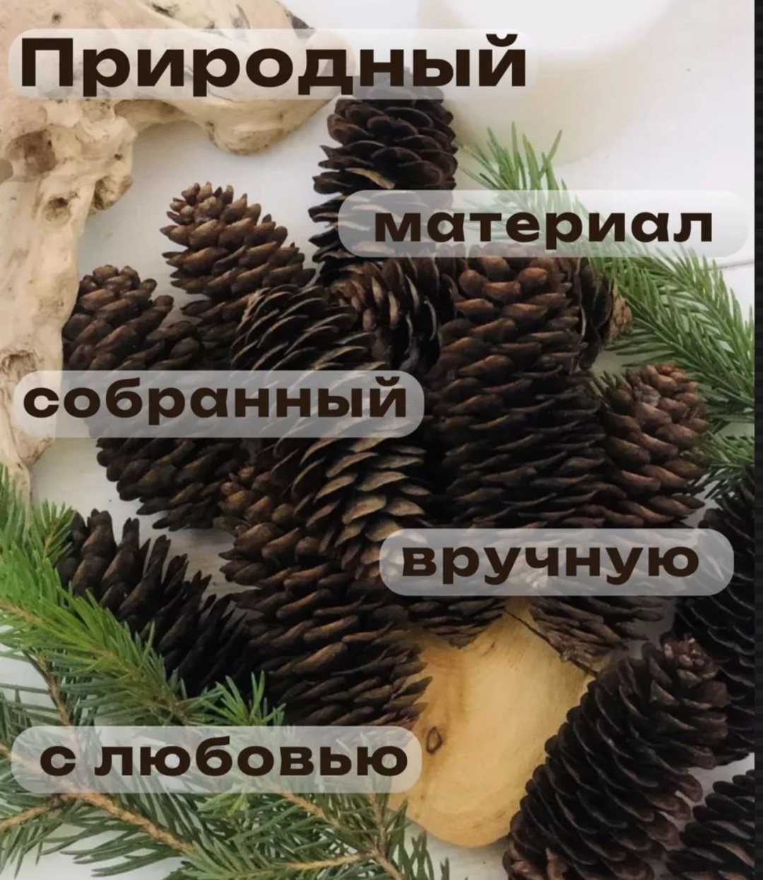 Набор еловых шишек 5 см 10 шт
