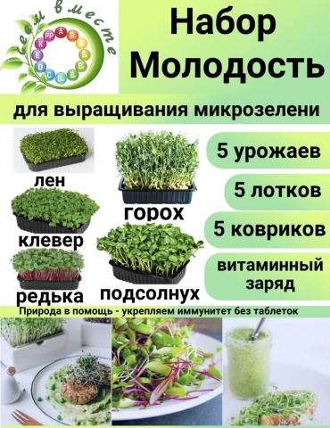 Набор для выращивания Сеем Вместе, набор микрозелени «Молодость»