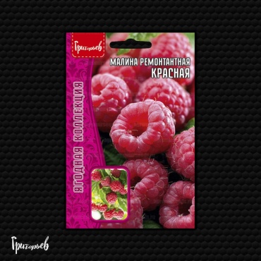 Григорьев малина Малина ремонтантная Красная