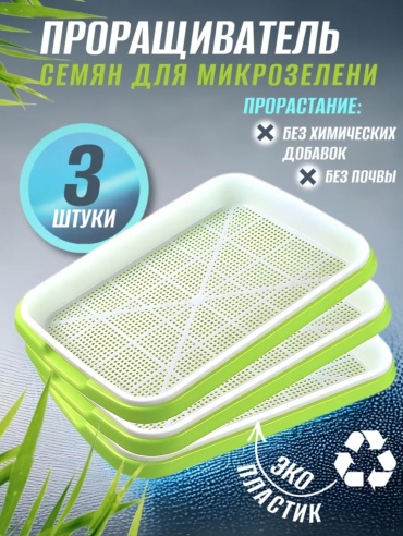 SHASHUBAY Микрозелень вперёд
