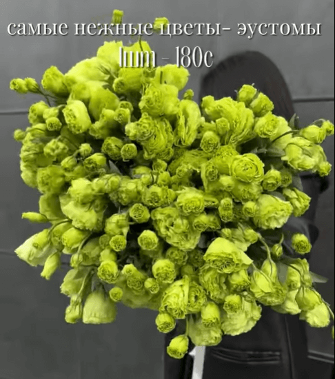 Эстуома (по штучно)
