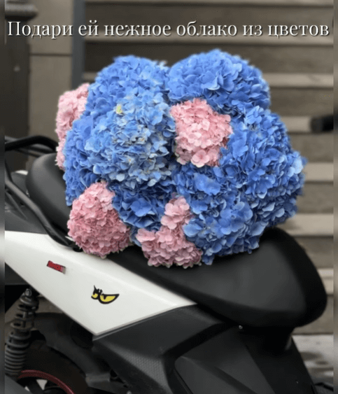 Гортензия (по штучно)