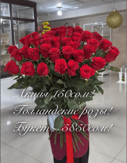 Красная роза голландская 1шт